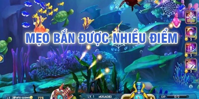 Những chiến thuật bắn cá thắng lớn cho game thủ 