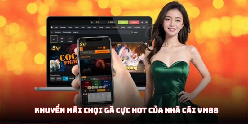 Khuyến mãi chọi gà cực hot của nhà cái Vm88